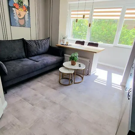 Trumpalaike Butu Nuoma Kaune Prie Kliniku Studija C Self Check In * Kaunas