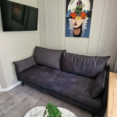 Apartment Trumpalaike Butu Nuoma Kaune Prie Kliniku Studija C Self Check In *