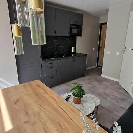 Trumpalaike Butu Nuoma Kaune Prie Kliniku Studija C Self Check In Apartment