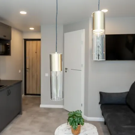 Apartment Trumpalaike Butu Nuoma Kaune Prie Kliniku Studija C Self Check In *