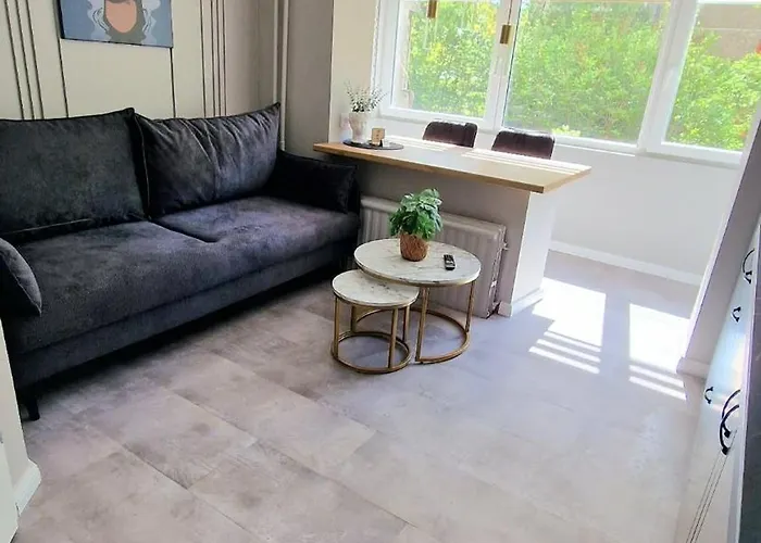 Trumpalaike Butu Nuoma Kaune Prie Kliniku Studija C Self Check In * Kaunas