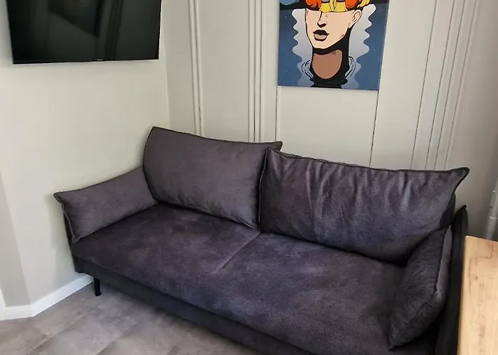 Apartment Trumpalaike Butu Nuoma Kaune Prie Kliniku Studija C Self Check In *