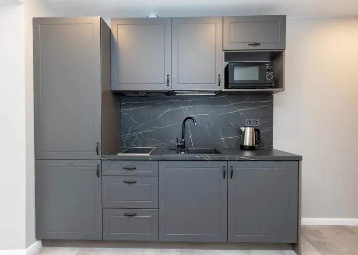 Apartment Trumpalaike Butu Nuoma Kaune Prie Kliniku Studija C Self Check In *