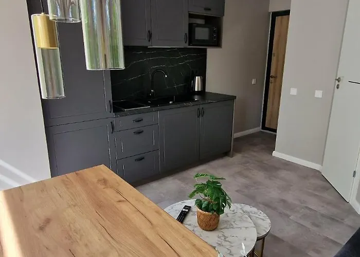 Trumpalaike Butu Nuoma Kaune Prie Kliniku Studija C Self Check In Apartment