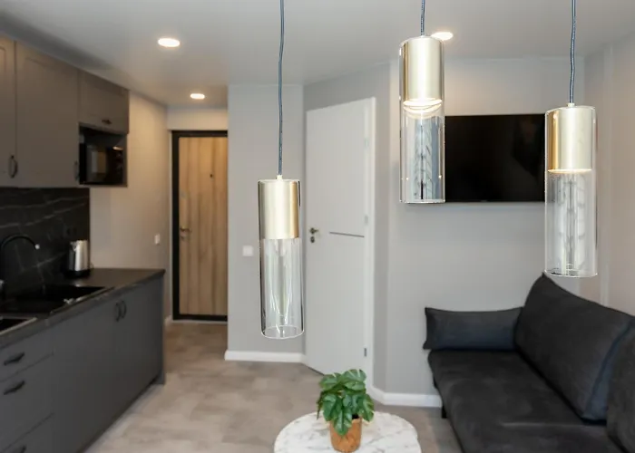 Apartment Trumpalaike Butu Nuoma Kaune Prie Kliniku Studija C Self Check In *