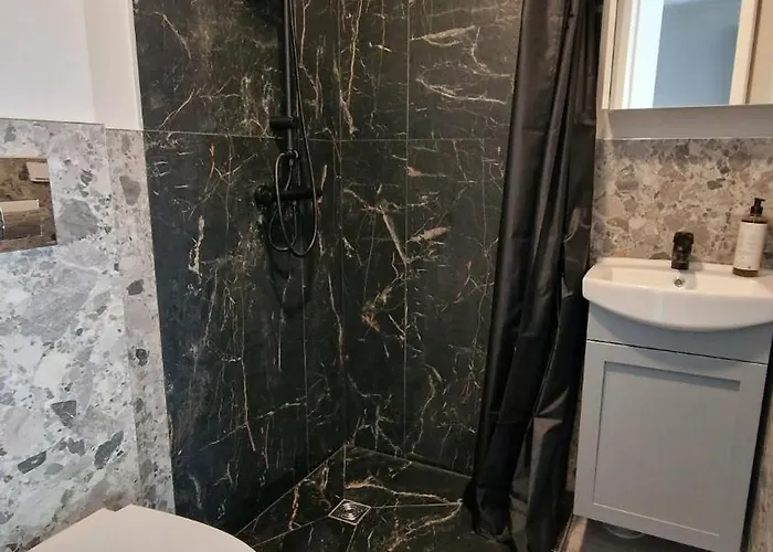 Trumpalaike Butu Nuoma Kaune Prie Kliniku Studija C Self Check In